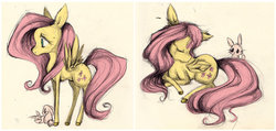 Size: 800x380 | Tagged: safe, artist:lulu-fly, angel bunny, fluttershy, g4, female, solo, traditional art