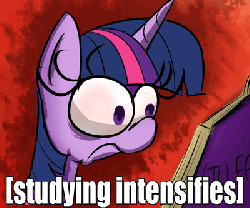Size: 400x333 | Tagged: safe, artist:senx, twilight sparkle, g4, animated, book, caption, descriptive noise, female, frown, image macro, meme, solo, studying, vibrating, wide eyes, x intensifies