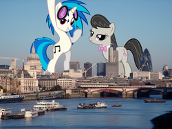 Size: 1200x900 | Tagged: safe, dj pon-3, octavia melody, vinyl scratch, pony, g4, england, giant pony, giant vinyl scratch/giant dj pon-3, giantess, highrise ponies, london, macro, mega octavia, united kingdom