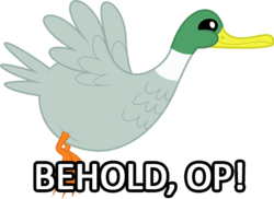 Size: 538x391 | Tagged: safe, duck, derpibooru, barely pony related, image macro, op is a duck, op is a duck (reaction image), reaction image, solo