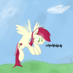 Size: 2500x2500 | Tagged: dead source, safe, artist:choop, roseluck, pegasus, pony, g4, blue sky, cloud, colored pupils, crying, dialogue, female, flapping wings, flying, grass, gritted teeth, high res, looking down, mare, panic, panicking, race swap, solo, sweat, wings