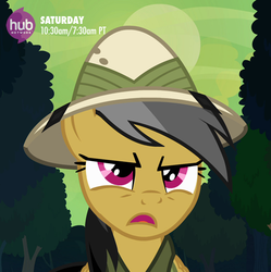 Size: 547x549 | Tagged: safe, daring do, daring don't, g4, official, female, hat, hub logo, hubble, logo, solo, text, the hub, twitter