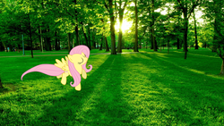 Size: 2560x1440 | Tagged: safe, fluttershy, g4, flying, grass, irl, park, photo, ponies in real life, solo, tree, wallpaper