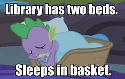 Size: 934x590 | Tagged: safe, spike, g4, basket, blanket, caption, image macro, male, pillow, sleeping, solo