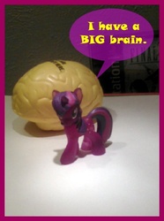 Size: 352x473 | Tagged: safe, artist:drpain, twilight sparkle, g4, blind bag, brain, figure, irl, photo, speech bubble, text, toy