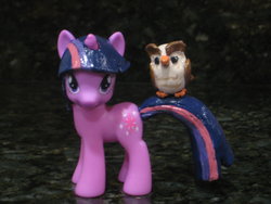 Size: 1024x768 | Tagged: safe, artist:snarkymcsnarkpants, owlowiscious, twilight sparkle, g4, customized toy, duo, irl, photo