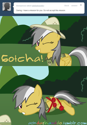 Size: 663x950 | Tagged: safe, artist:drumblastingquilava, daring do, g4, ask, askdashanddo, female, solo, tumblr