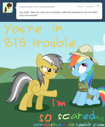 Size: 659x796 | Tagged: safe, artist:drumblastingquilava, daring do, rainbow dash, g4, ask, askdashanddo, tumblr