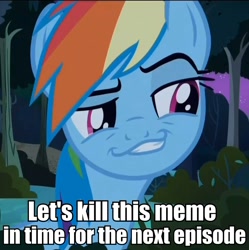 Size: 862x865 | Tagged: safe, rainbow dash, daring don't, g4, faic, female, image macro, no fun allowed, smugdash, solo