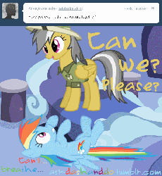 Size: 645x700 | Tagged: safe, artist:drumblastingquilava, daring do, rainbow dash, g4, animated, ask, askdashanddo, bed, female, tumblr