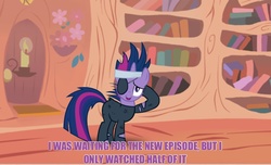 Size: 1694x1027 | Tagged: safe, twilight sparkle, g4, female, future twilight, image macro, pun, solo