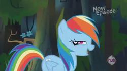 Size: 1013x564 | Tagged: safe, rainbow dash, daring don't, g4, season 4, female, solo