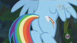 Size: 1014x573 | Tagged: safe, rainbow dash, daring don't, g4, season 4, butt, female, plot, solo