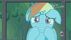 Size: 384x216 | Tagged: safe, screencap, rainbow dash, pony, daring don't, g4, against glass, animated, female, hub logo, hubble, observer, scared, solo, the hub, window