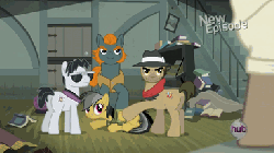 Size: 384x216 | Tagged: safe, screencap, biff, daring do, doctor caballeron, rogue (g4), withers, earth pony, pegasus, pony, daring don't, g4, animated, female, henchmen, hub logo, hubble, male, mare, new episode, stallion, the hub
