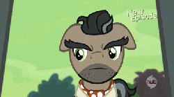 Size: 384x216 | Tagged: safe, screencap, doctor caballeron, earth pony, pony, daring don't, g4, animated, hub logo, hubble, male, new episode, solo, stallion, the hub
