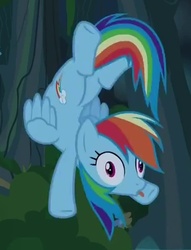 Size: 377x493 | Tagged: safe, screencap, rainbow dash, pegasus, pony, daring don't, g4, :p, animation error, backbend, derp, female, flying, looking at you, mare, rainbow derp, silly, silly pony, solo, tongue out, wide eyes