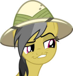 Size: 4414x4605 | Tagged: safe, daring do, daring don't, g4, season 4, absurd resolution, face, female, simple background, smugdash, solo, transparent background, vector