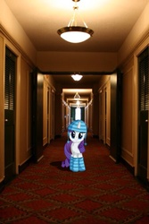 Size: 1200x1800 | Tagged: safe, rarity, g4, cute, hallway, hotel, irl, photo, ponies in real life, raribetes, solo