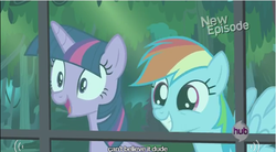 Size: 641x353 | Tagged: safe, screencap, rainbow dash, twilight sparkle, alicorn, pony, daring don't, g4, adorkable, cute, dork, fangirl, female, mare, meme, twilight sparkle (alicorn), wingboner, youtube caption