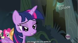 Size: 641x356 | Tagged: safe, screencap, twilight sparkle, alicorn, pony, daring don't, g4, meme, twilight sparkle (alicorn), youtube caption