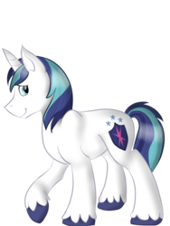 Size: 768x1024 | Tagged: safe, artist:rockystar11, shining armor, pony, unicorn, g4, male, simple background, solo, stallion, transparent background, unshorn fetlocks