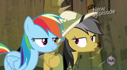 Size: 636x350 | Tagged: safe, daring do, rainbow dash, daring don't, g4, bedroom eyes, duckface