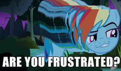 Size: 610x361 | Tagged: safe, rainbow dash, daring don't, g4, my little pony: friendship is magic, are you frustrated?, caption, female, grin, image macro, smug, smugdash, solo