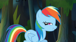 Size: 1280x714 | Tagged: safe, screencap, rainbow dash, daring don't, g4, female, lidded eyes, looking at you, solo