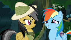 Size: 1280x718 | Tagged: safe, screencap, daring do, rainbow dash, daring don't, g4, grin