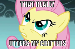 Size: 500x327 | Tagged: safe, fluttershy, g4, female, image macro, jimmies, reaction image, solo