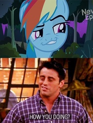 Size: 317x418 | Tagged: safe, rainbow dash, daring don't, g4, my little pony: friendship is magic, exploitable meme, f.r.i.e.n.d.s, face, joey tribbiani, matt leblanc, smug, smugdash