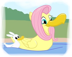 Size: 1910x1526 | Tagged: safe, artist:mistergi, angel bunny, fluttershy, duck, g4, cute, duo, flutterduck, op, pond, species swap, water