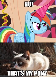 Size: 697x960 | Tagged: safe, rainbow dash, pegasus, pony, daring don't, g4, season 4, caption, grumpy, grumpy cat, grumpy dash, national random holiday party day, that's my pony