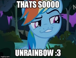 Size: 480x364 | Tagged: safe, edit, edited screencap, screencap, rainbow dash, pegasus, pony, friendship is witchcraft, daring don't, g4, season 4, :3, female, image macro, imgflip, mare, rainbow dash is best facemaker, smiling, smirk, smug, smugdash, solo