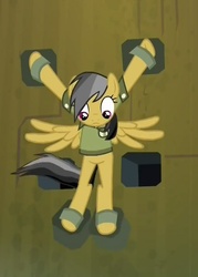 Size: 458x639 | Tagged: safe, daring do, daring don't, g4, bondage, deathtrap, female, fortress of talacon, looking down, solo, spread eagle