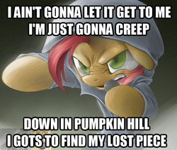 Size: 612x520 | Tagged: safe, artist:rouletteobsidian, babs seed, earth pony, pony, g4, babs the rapper, clothes, crossover, exploitable meme, female, filly, hoodie, image macro, meme, nose wrinkle, pumpkin hill, solo, sonic adventure 2, sonic the hedgehog (series)