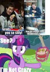 Size: 500x709 | Tagged: safe, twilight sparkle, g4, image macro, sandwich, sandwich armor