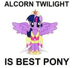 Size: 508x472 | Tagged: safe, twilight sparkle, alicorn, pony, g4, alicorn drama, best pony, female, image macro, mare, twilight sparkle (alicorn)
