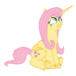 Size: 1800x1800 | Tagged: safe, artist:silverwolvesforever, fluttershy, alicorn, pony, g4, alicornified, crying, female, fluttercorn, hooves, horseshoes, race swap, simple background, solo, transparent background, unshorn fetlocks