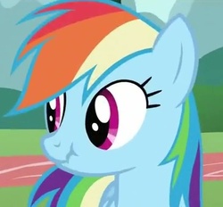 Size: 366x340 | Tagged: safe, screencap, rainbow dash, pegasus, pony, g4, may the best pet win, female, mare, scrunchy face