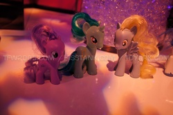 Size: 1600x1063 | Tagged: safe, derpy hooves, diamond tiara, lyra heartstrings, pegasus, pony, g4, brushable, female, mare, toy