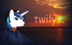 Size: 500x312 | Tagged: safe, shining armor, g4, comic sans, image macro, twily