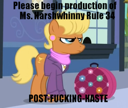 Size: 612x516 | Tagged: safe, screencap, ms. harshwhinny, earth pony, pony, g4, female, solo