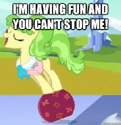 Size: 301x310 | Tagged: safe, edit, edited screencap, screencap, chickadee, ms. peachbottom, pony, g4, games ponies play, and nopony can stop me, animated, caption, eyes closed, female, having fun, image macro, open mouth, reaction image, smiling, solo, spinning, suitcase, text