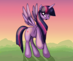 Size: 2640x2200 | Tagged: safe, artist:radiatezoom, twilight sparkle, alicorn, pony, g4, female, mare, twilight sparkle (alicorn)