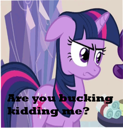 Size: 383x397 | Tagged: safe, twilight sparkle, g4, caption, frown
