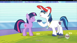 Size: 1920x1080 | Tagged: safe, screencap, shining armor, twilight sparkle, g4, games ponies play, maximo, youtube caption