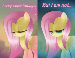 Size: 1000x776 | Tagged: dead source, safe, artist:loyaldis, fluttershy, pegasus, pony, g4, comic, female, sad, solo