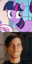 Size: 300x600 | Tagged: safe, twilight sparkle, g4, games ponies play, comparison, funny, male, spider-man, spider-man 3, tobey maguire